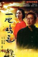 一地雞毛劇情介紹(1-10全集)