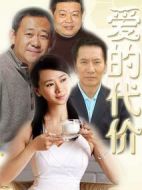 愛(ài)的代價(jià)劇情介紹(1-20全集)