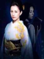 黑色皮革手冊(cè)劇情介紹(1-7全集)