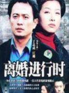離婚進(jìn)行時(shí)劇情介紹(1-20全集)