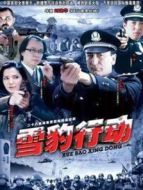 雪豹行動(dòng)劇情介紹(1-26全集)