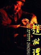 趙樹理劇情介紹(1-20全集)