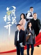 八月桂花開劇情介紹(1-29全集)