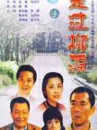 走過柳源劇情介紹(1-17全集)