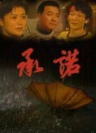 承諾劇情介紹(1-30全集)