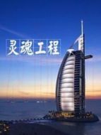 靈魂工程劇情介紹(1-6全集)