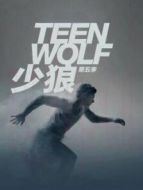 少狼 第五季劇情介紹(1-20全集)