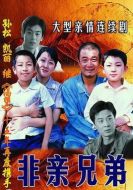 非親兄弟劇情介紹(1-24全集)