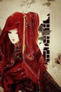 嫁衣劇情介紹(1-25全集)