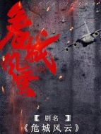 危城風(fēng)云劇情介紹(1-40全集)
