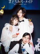 深夜的吧臺(tái)公主劇情介紹(1-12全集)