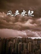 風生水起劇情介紹(1-18全集)