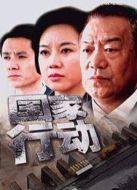 國(guó)家行動(dòng)（2009版）劇情介紹(1-全集)