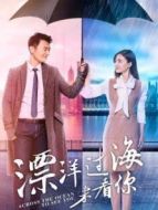 漂洋過海來看你DVD版劇情介紹(1-44全集)