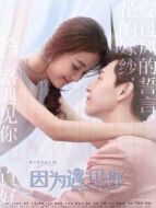 因為遇見你[DVD版]劇情介紹(1-56全集)