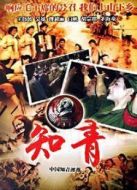 中國知青部落劇情介紹(1-8全集)