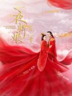 夏夜知君暖 越南語版劇情介紹(1-24全集)