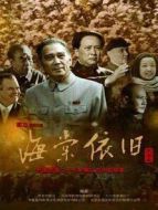 海棠依舊 孫維民版海報(bào)