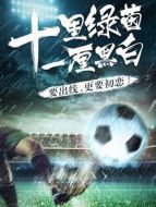 十里綠茵一厘黑白劇情介紹(1-40全集)