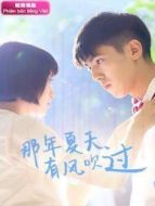 那年夏天有風(fēng)吹過 越南語版海報