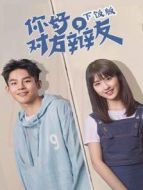 你好，對方辯友 越南語版劇情介紹(1-30全集)