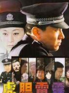 虎膽雷霆劇情介紹(1-22全集)