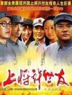 上將許世友全集DVD劇情介紹(1-全集)