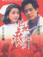 過(guò)把癮劇情介紹(1-8全集)