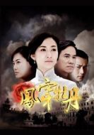 鳳穿牡丹劇情介紹(1-38全集)
