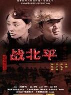 戰(zhàn)北平劇情介紹(1-27全集)