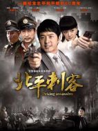 北平刺客劇情介紹(1-20全集)