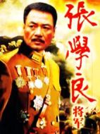 張學(xué)良將軍劇情介紹(1-35全集)