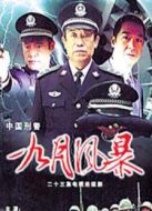 中國(guó)刑警 九月風(fēng)暴海報(bào)