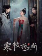 命中注定的公主劇情介紹(1-18全集)