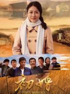 初婚劇情介紹（1-59全集）大結局