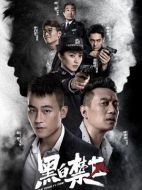 黑白禁區(qū)劇情介紹（1-44全集）大結局