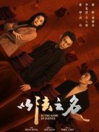 以法之名劇情介紹（1-36全集）大結局