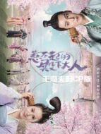 惹不起的殿下大人 王府夫婦cp版劇情介紹(1-16全集)
