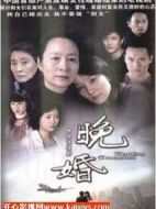 晚婚劇情介紹(1-32全集)