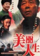 美麗人生（2008）劇情介紹(1-30全集)