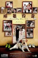 陪著你走劇情介紹(1-20全集)