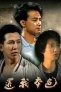 還我本色劇情介紹(1-20全集)