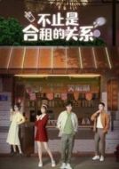 不止是合租的關(guān)系海報