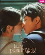 因?yàn)槟闳绱艘蹌∏榻榻B(1-24全集)