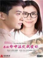 命中注定我愛你 泰語版劇情介紹(1-34全集)