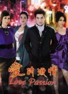 愛(ài)的激情劇情介紹(1-25全集)