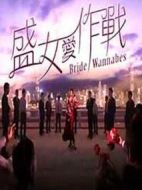 盛女愛作戰(zhàn)劇情介紹(1-10全集)