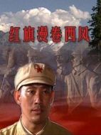 紅旗漫卷西風(fēng)劇情介紹(1-40全集)