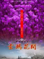 索瑪花開劇情介紹(1-32全集)