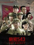 絕密543(大器)劇情介紹(1-全集)